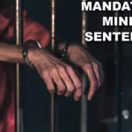 The Chaos of Mandatory Minimum Sentencing