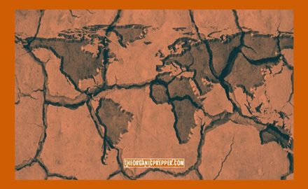 EVERYT1HINGshortageMAIN