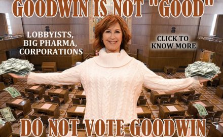 Why you shouldn't vote Christine Goodwin